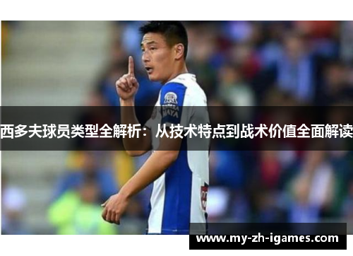 西多夫球员类型全解析：从技术特点到战术价值全面解读