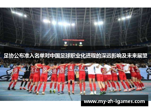 足协公布准入名单对中国足球职业化进程的深远影响及未来展望