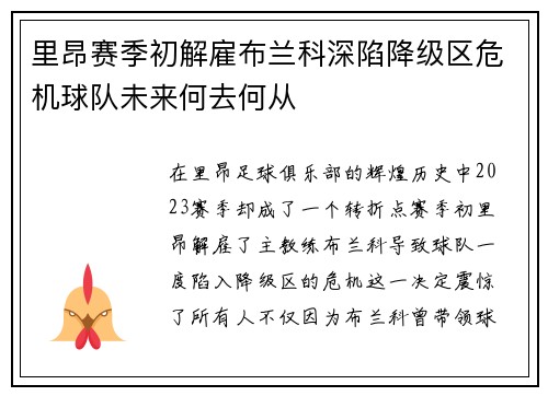 里昂赛季初解雇布兰科深陷降级区危机球队未来何去何从